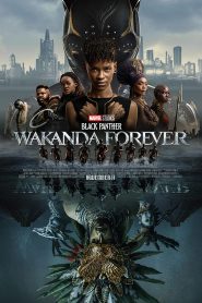 ดูหนังใหม่ BLACK PANTHER: WAKANDA FOREVER (2022)